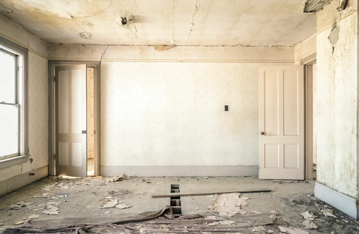 Waste disposal crew managing a cleanout project in Danby